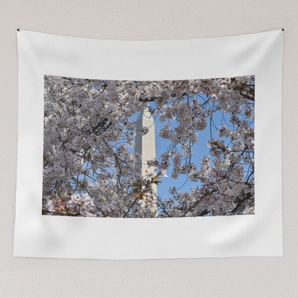 Item preview, Cherry Blossoms on the National Mall in Washington, DC designed and sold by Zoo and Nature Photography by Karie.