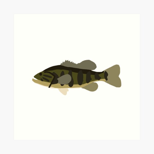 Smallmouth Bass Fish Print -  Canada