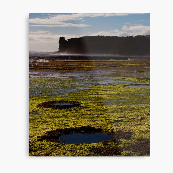 Rockpools and Climbers Metal Print