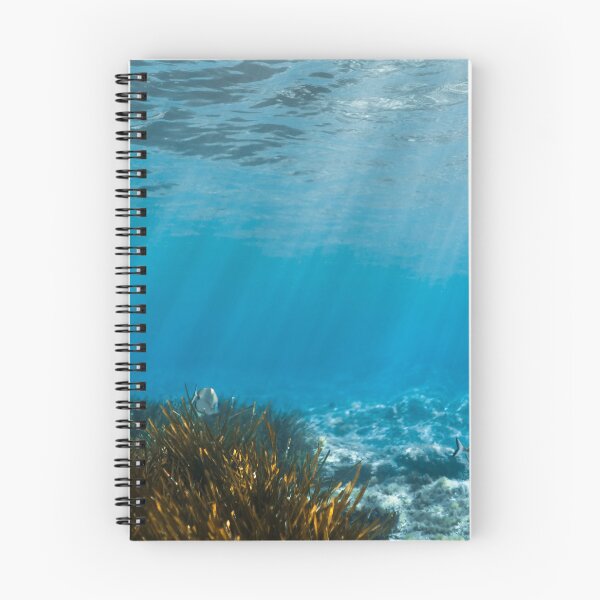 Item preview, UNDERWATER - PHOTOS - MALLORCA - WATER - ACUATIC LIFE  designed and sold by Tropical Blood.