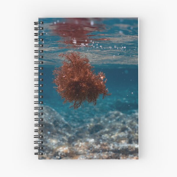 Item preview, UNDERWATER PHOTOGRAPY - WATER PHOTOS - ACUATIC - BUBBLES  designed and sold by Tropical Blood.