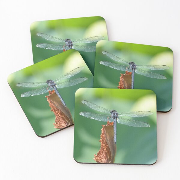 Item preview, Dragonfly designed and sold by Zoo and Nature Photography by Karie.