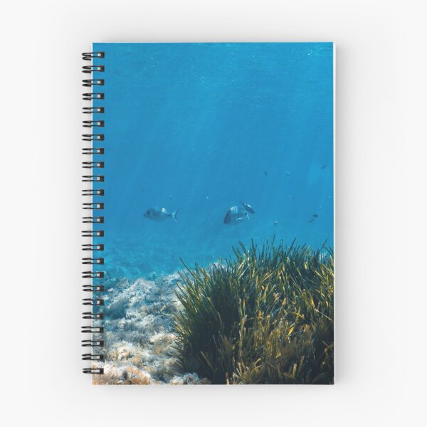 Item preview, UNDERWATER - WATER PARADISE - BLUE - MALLORCA - WATER - PHOTOS  designed and sold by Tropical Blood.