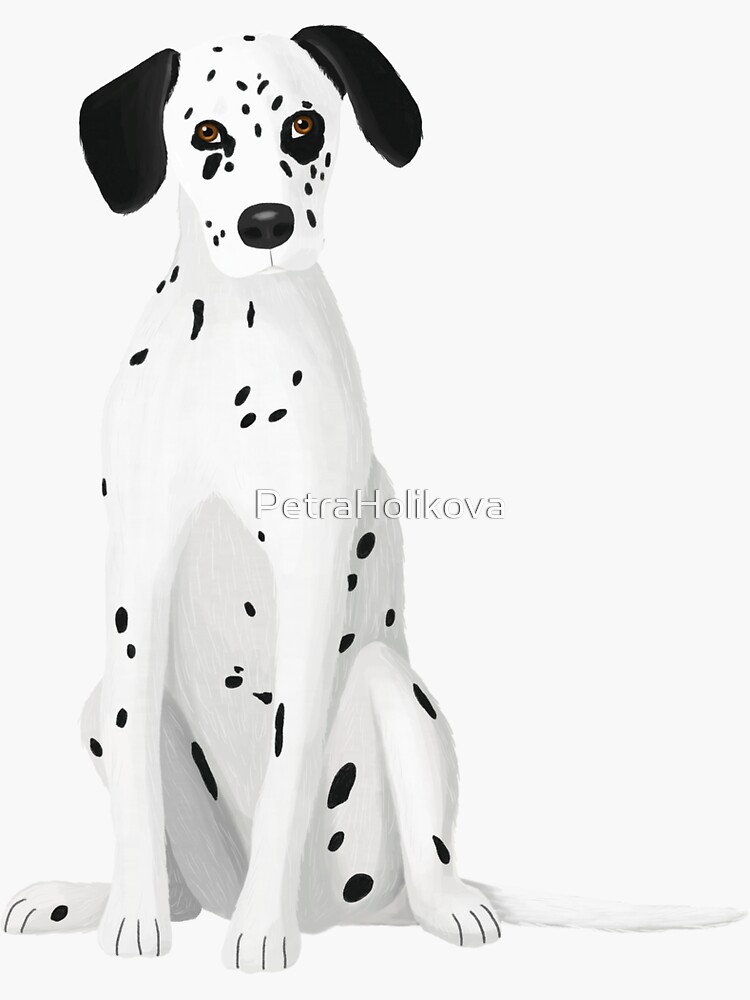 Dalmatian by PetraHolikova