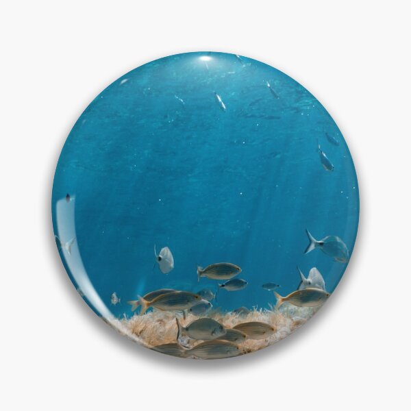Item preview, FISH - UNDERWATER - LOTS OF FISHES - MALLORCA - UNDERWATER PHOTOGRAPHY designed and sold by Tropical Blood.