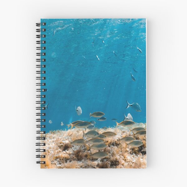 Item preview, FISH - UNDERWATER - LOTS OF FISHES - MALLORCA - UNDERWATER PHOTOGRAPHY designed and sold by Tropical Blood.