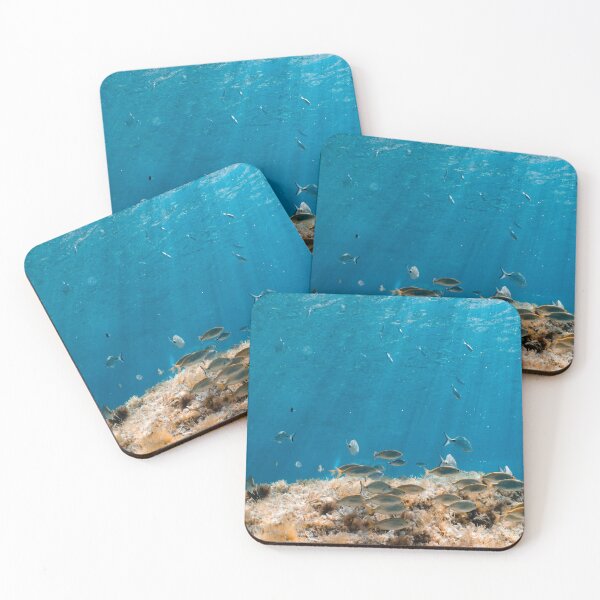 Item preview, FISH - UNDERWATER - LOTS OF FISHES - MALLORCA - UNDERWATER PHOTOGRAPHY designed and sold by Tropical Blood.