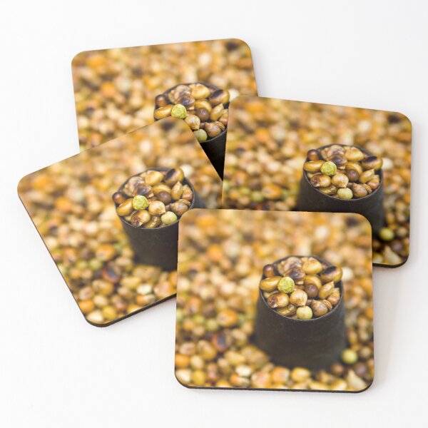 Item preview, Chickpeas Garbanzo Beans designed and sold by Kevin Miller Photography.