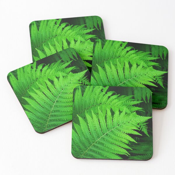 Item preview, Great green bush of fern in the forest designed and sold by Kizuneko.
