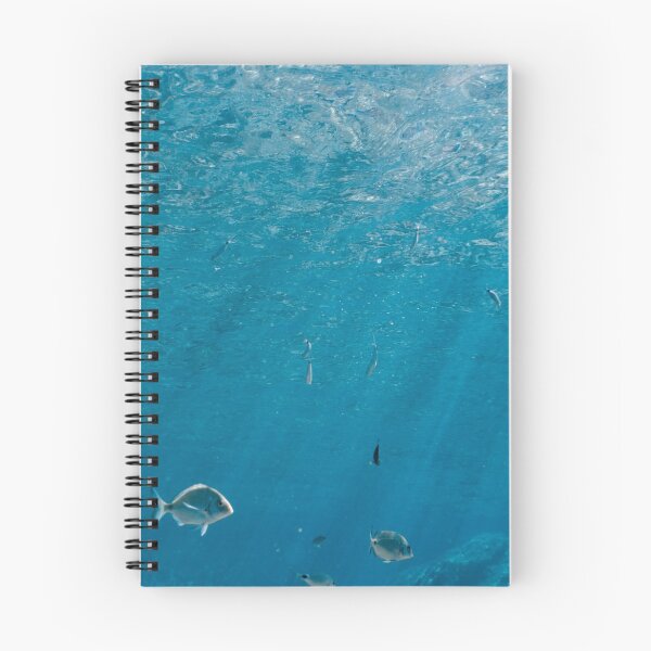 Item preview, FISH - UNDERWATER PHOTOGRAPHY - PHOTO - POSTER- BLUE - SEA BLUE MEDITERRANEAN  designed and sold by Tropical Blood.