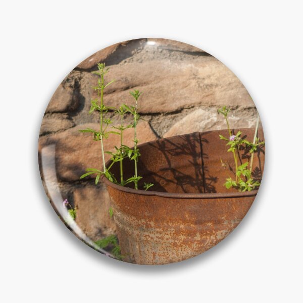 Item preview, Rusty Bin With Weeds Close Up designed and sold by shane22.