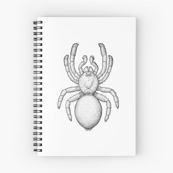 Item preview, Tarantula Spider Ink Illustration - Vogelspinnen designed and sold by Laura Montserrat.