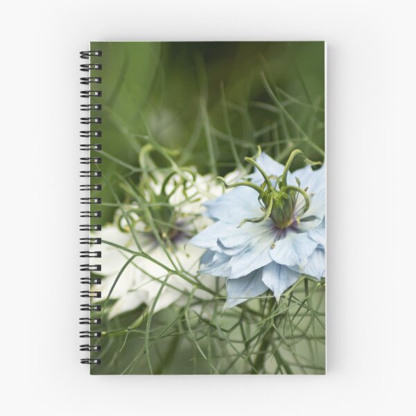 Item preview, Flores azules y blancas de Nigella designed and sold by shane22.
