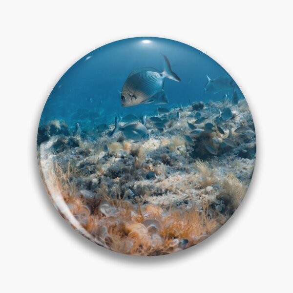 Item preview, PESCAITO - FISH - BLUE - MEDITERRANEAN SEA - MALLORCA - UNDERWATER PHOTO designed and sold by Tropical Blood.