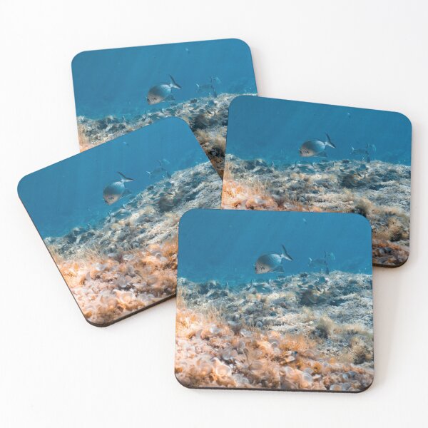 Item preview, PESCAITO - FISH - BLUE - MEDITERRANEAN SEA - MALLORCA - UNDERWATER PHOTO designed and sold by Tropical Blood.