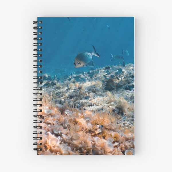 Item preview, PESCAITO - FISH - BLUE - MEDITERRANEAN SEA - MALLORCA - UNDERWATER PHOTO designed and sold by Tropical Blood.
