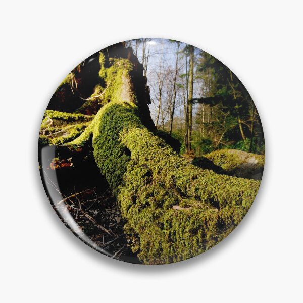 Item preview, Tree root with moss.. designed and sold by Billlee.