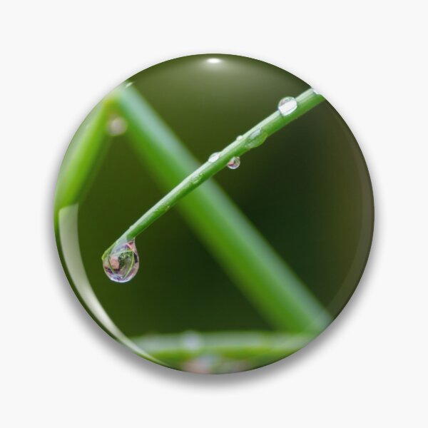 Item preview, Raindrops on chives. designed and sold by Duncan Day.