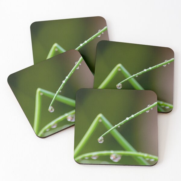 Item preview, Raindrops on chives. designed and sold by Duncan Day.