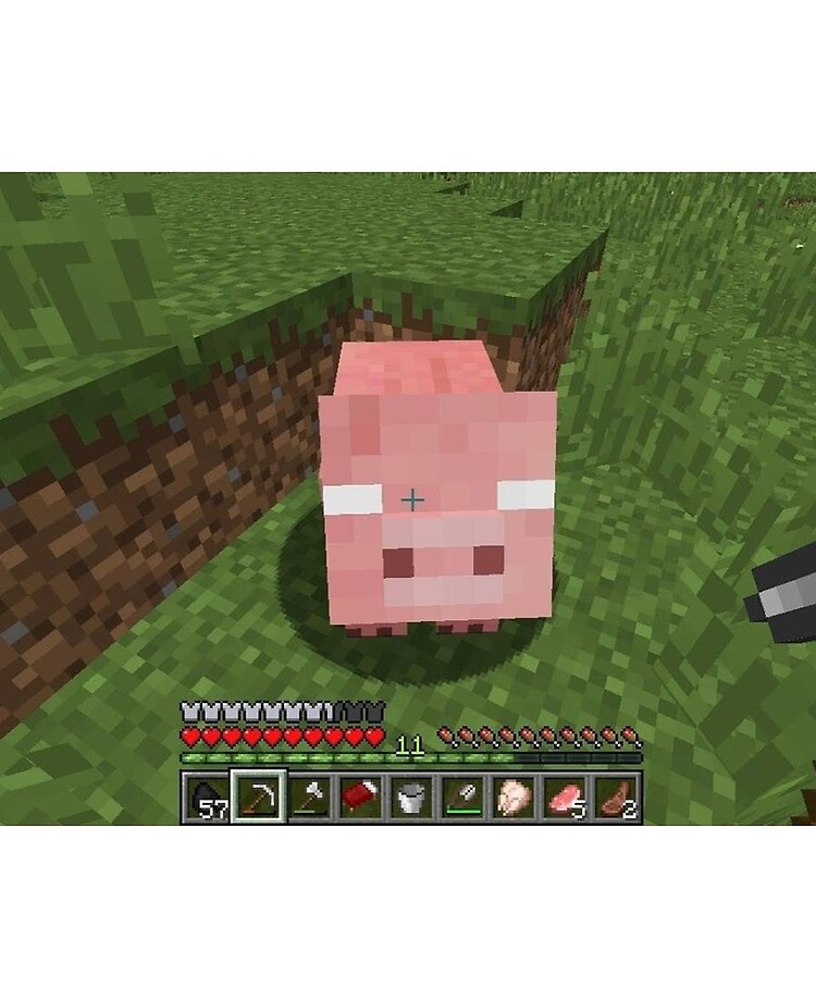 Herobrine Pig Minecraft Ipad Case Skin For Sale By Finley055 Redbubble