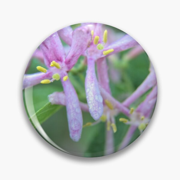 Item preview, Honeysuckle Macro designed and sold by LynyrdSky.