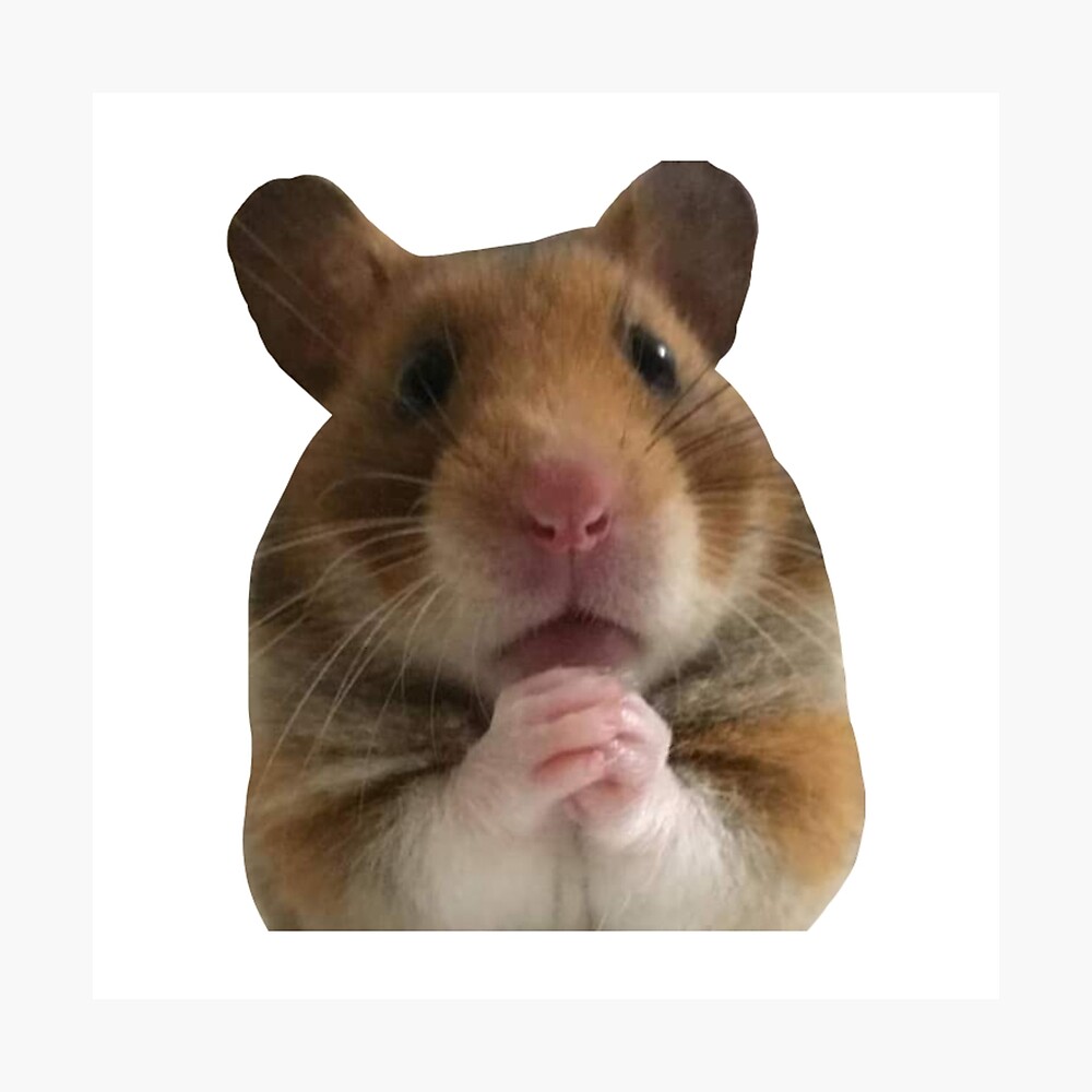 Hamster Meme Poster By Dakamu Redbubble