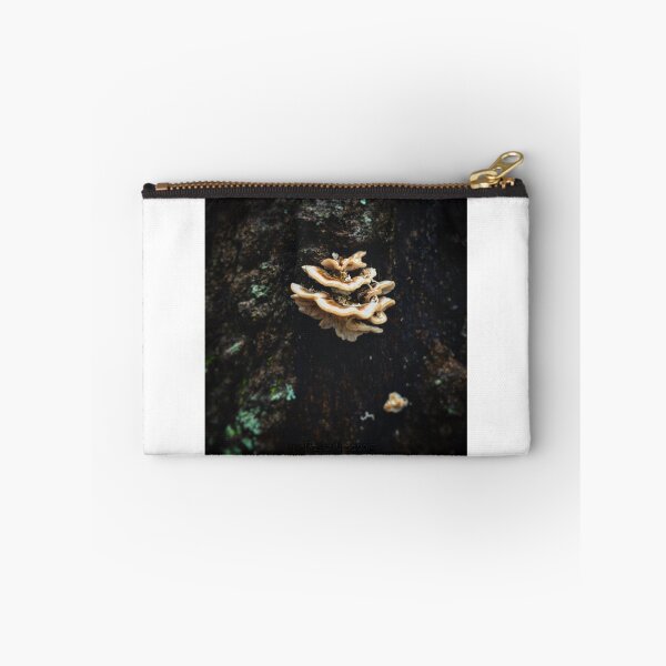 Item preview, Shelf Mushroom On A Tree designed and sold by thedesignvine.