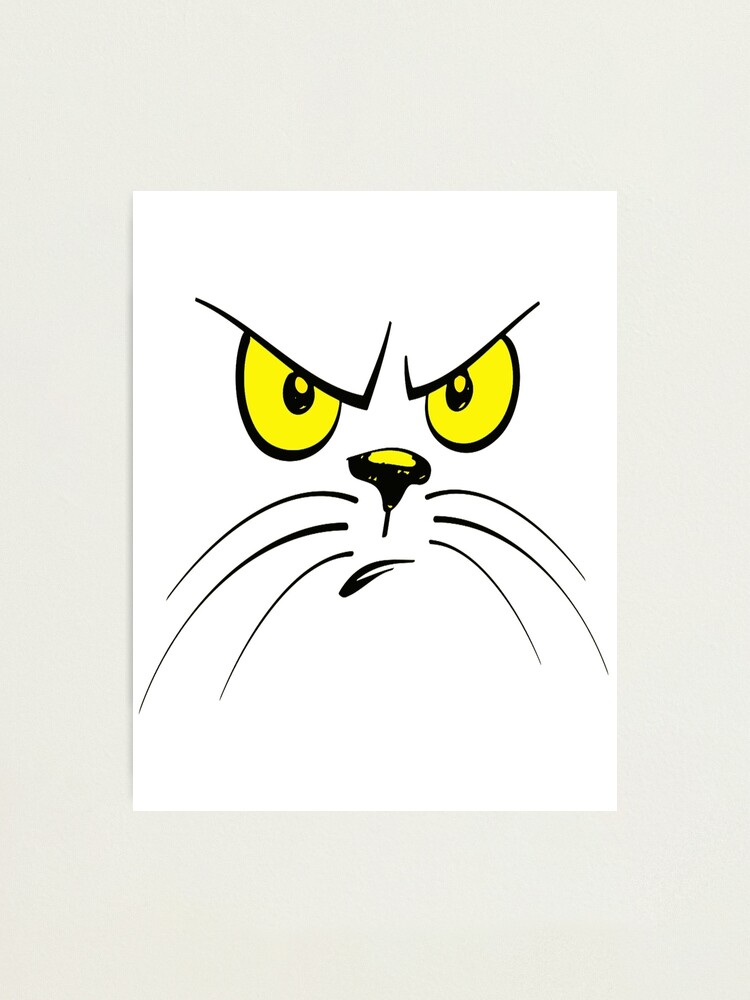 Angry Cat Drawing 