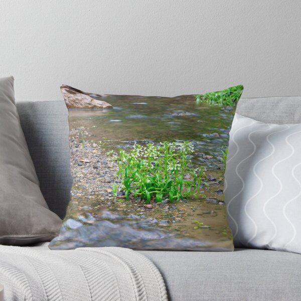 Item preview, Surrounded designed and sold by LynyrdSky.