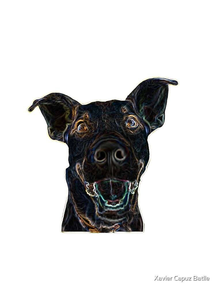 Black Dog de criptoarbitraje