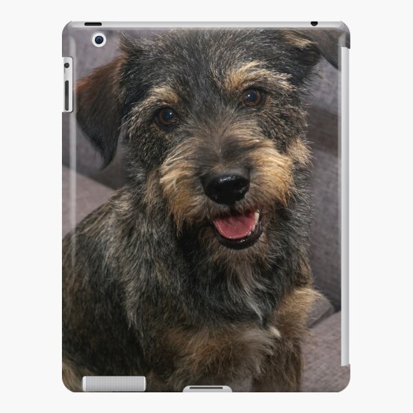 Scoobie iPad Snap Case