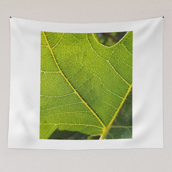 Item preview, Green Nature Fresh Shot designed and sold by kamilu.