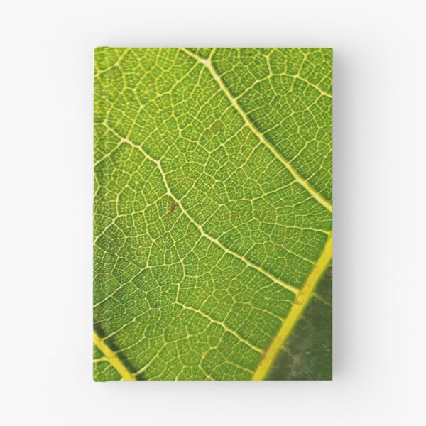 Item preview, Green Nature Fresh Shot designed and sold by kamilu.