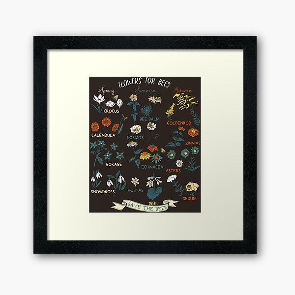 Flowers For Bees (Color) Framed Art Print