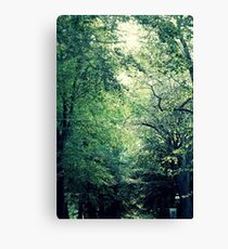 Greenery Canvas Print