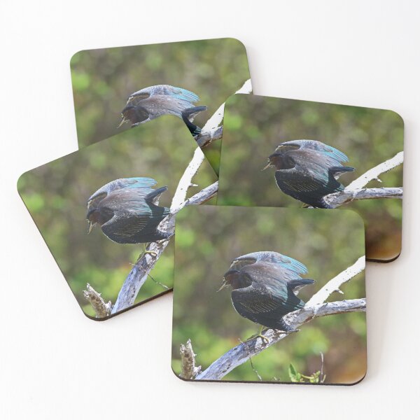 Item preview, Lifting the Veil of Anonymity designed and sold by Michiale.