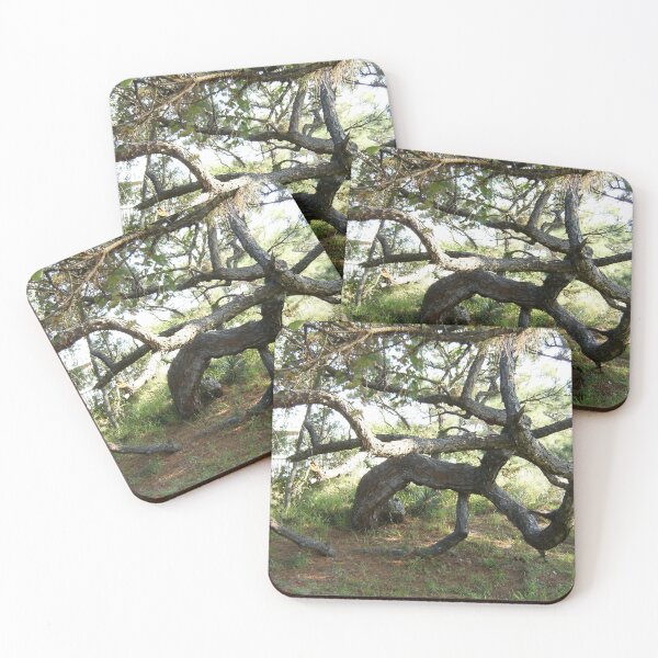 Item preview, abajo designed and sold by EnticingRose.