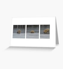 Ice Breaker Greeting Card