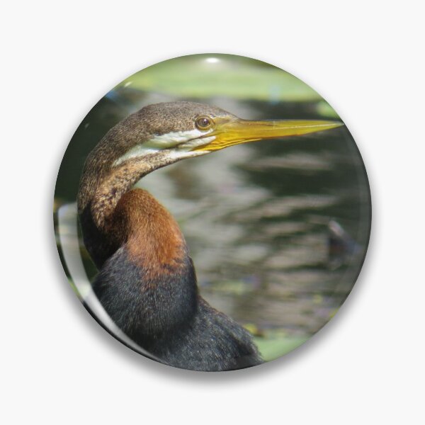 Item preview, Australasian Darter designed and sold by Genevieve Hanlon Art and Photography.