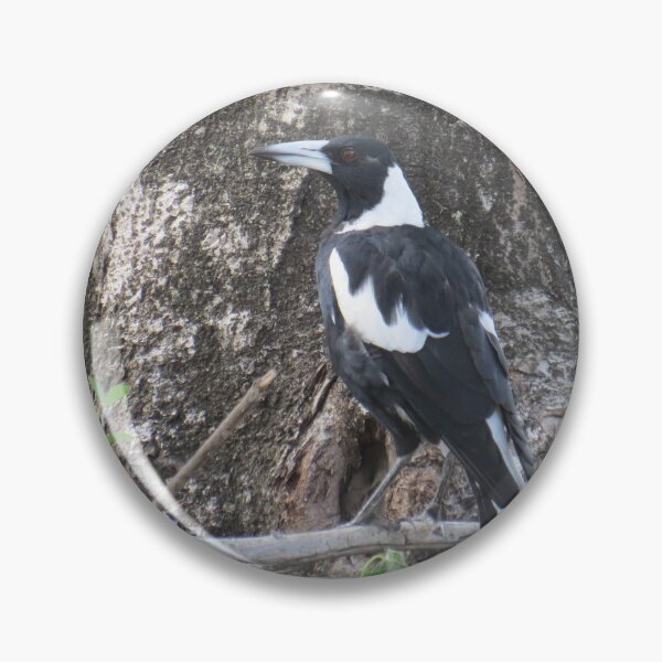 Item preview, Australian Magpie designed and sold by Genevieve Hanlon Art and Photography.