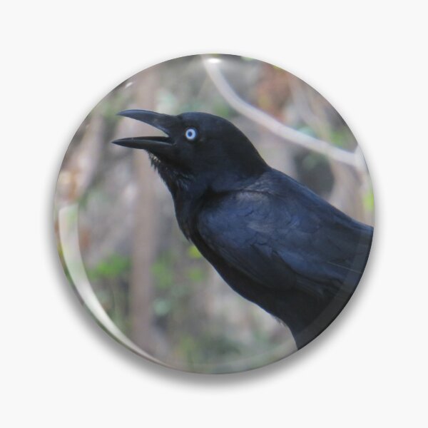Item preview, Australian Raven designed and sold by Genevieve Hanlon Art and Photography.