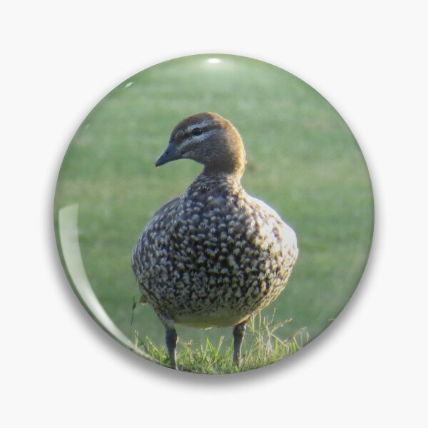 Item preview, Australian Wood Duck designed and sold by Genevieve Hanlon Art and Photography.