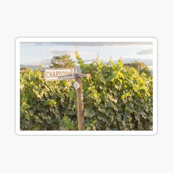 Item preview, Chardonnay Signpost and Grapevines in Summer designed and sold by Amy Mitchell.