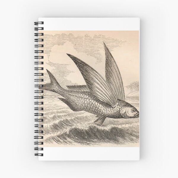 Item preview, flying fish  flying cod designed and sold by serene-dad.