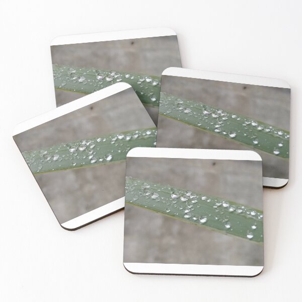 Item preview, Water Drops on Leaf designed and sold by BaconCupcake.