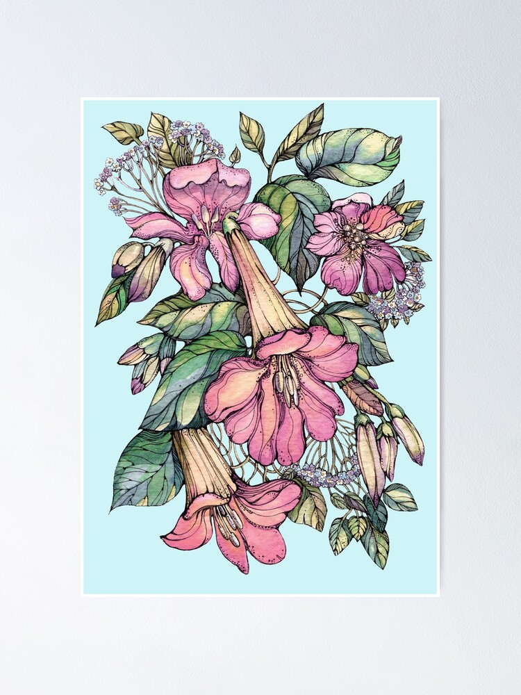 Póster «Flores de vid de trompeta roja sobre azul» de kanvisstyle | Redbubble Póster «Flores de vid de trompeta roja sobre azul» de kanvisstyle | Redbubble