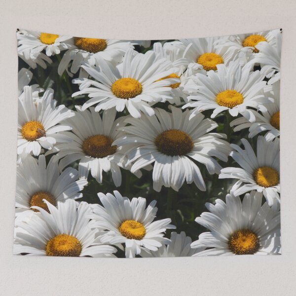 Item preview, Daisies designed and sold by Jacquelie.