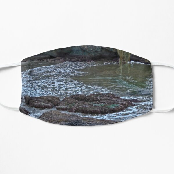 TWILIGHT ON THE OLYMPIC PENINSULA Flat Mask