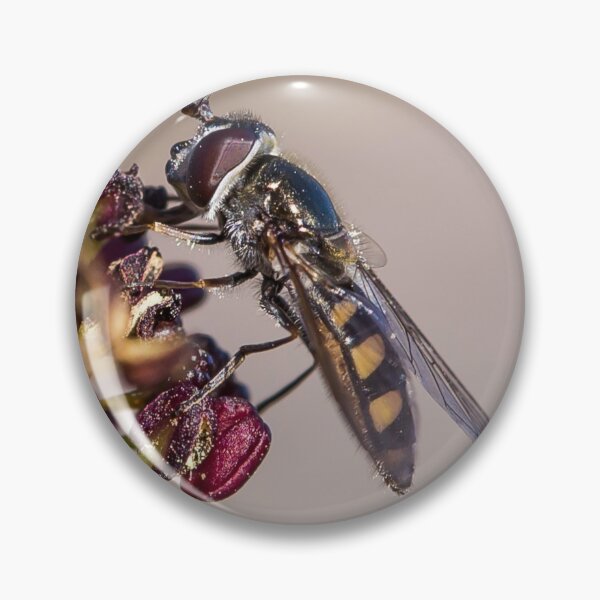 Item preview, A native bee in Australia designed and sold by shaynetwright.