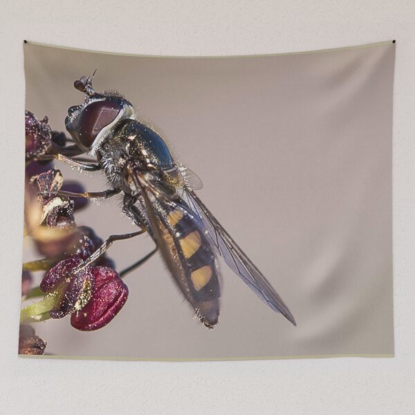Item preview, A native bee in Australia designed and sold by shaynetwright.